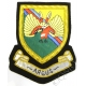 Argus - 14 Intelligence Company  Blazer Badge